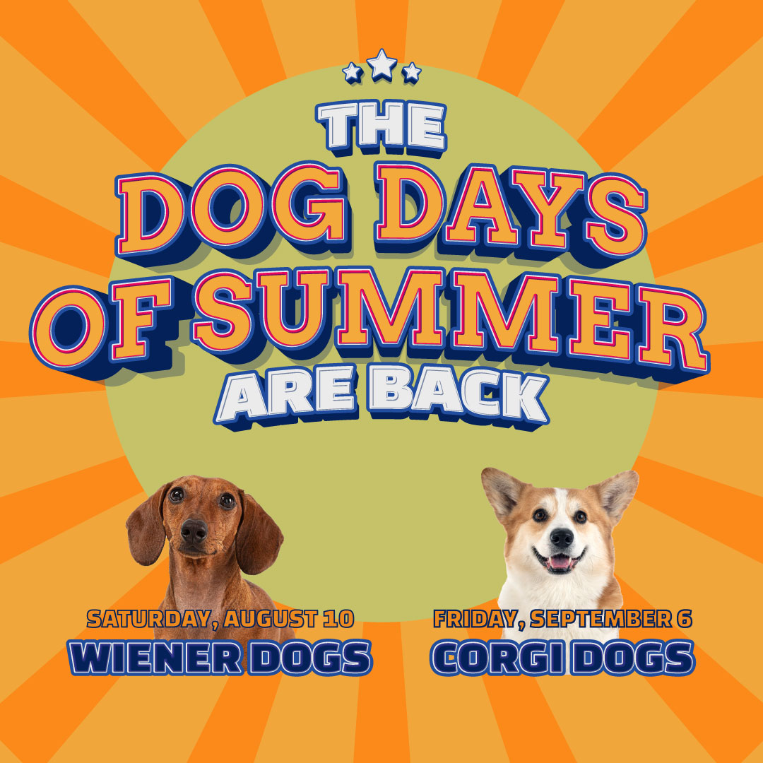 Attention all dog lovers! 🐶 

We're super excited to announce that the Dog Days of Summer are BACK! 

This year, we will be hosting Wiener Dog Races on Saturday, August 10 and Corgi Dog Races on Friday, September 6!

Stay tuned for registration information coming in early June!