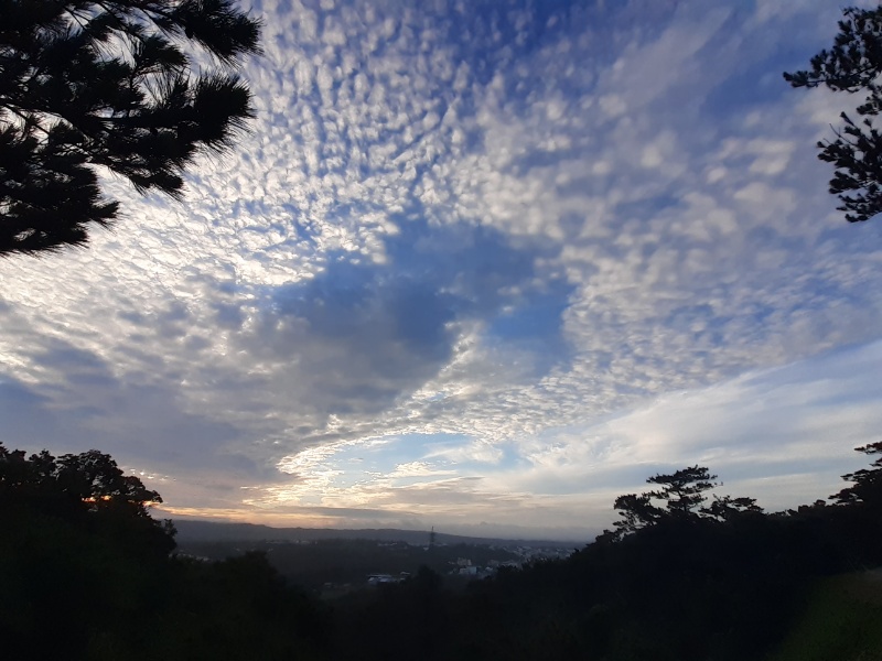 AyanoMars's tweet photo. Good Morning(^o^)/*
There were scaly clouds in the Yomitan sky this morning.
@zeiram67 #fine873 https://t.co/CvwLwELBl3
