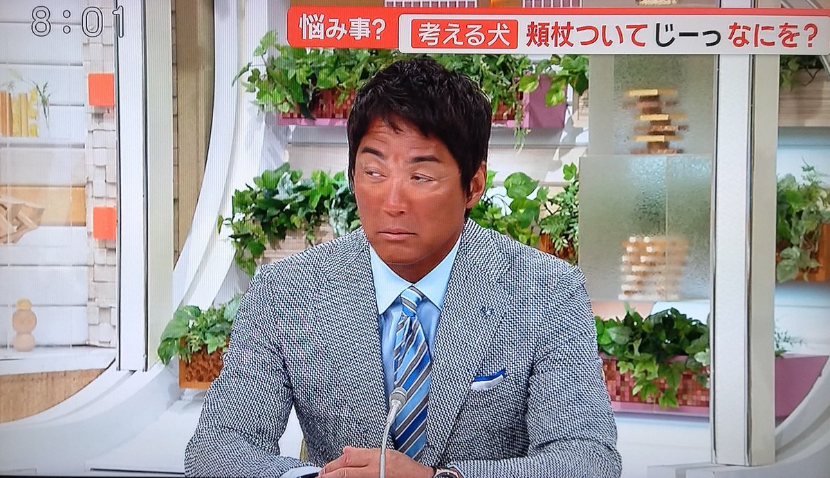 モーニング ショー 長嶋 一茂
