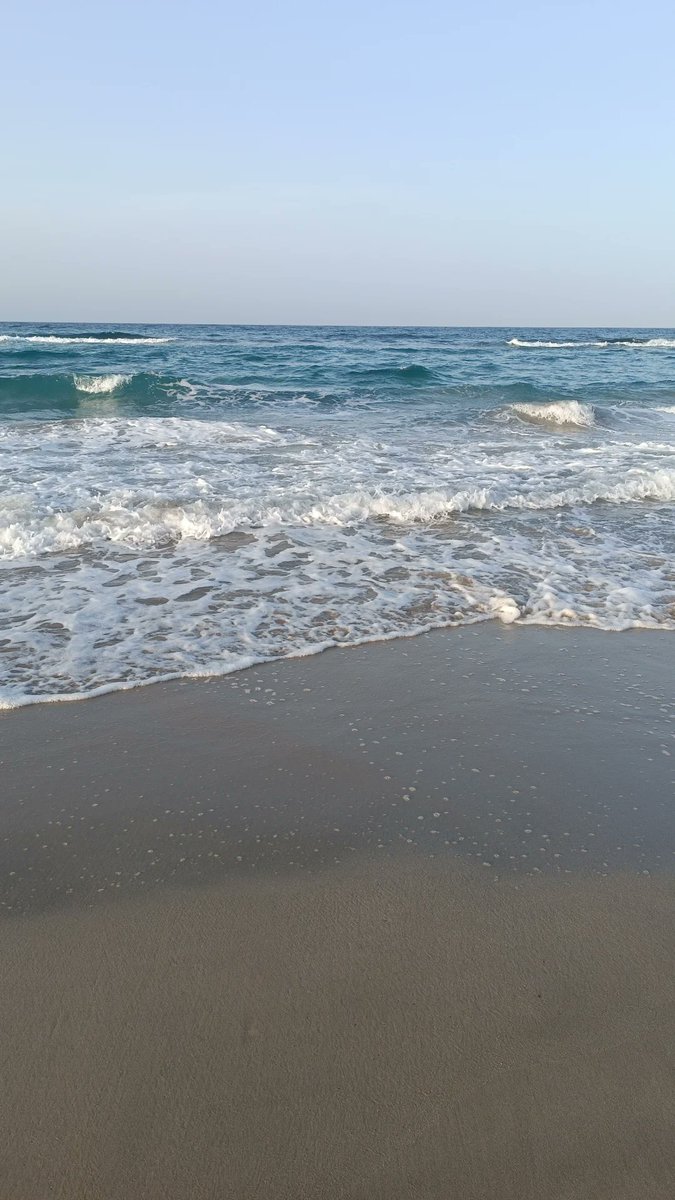 silviaburgos77's tweet photo. ☀️🌴 https://t.co/ObFAmKtZOv