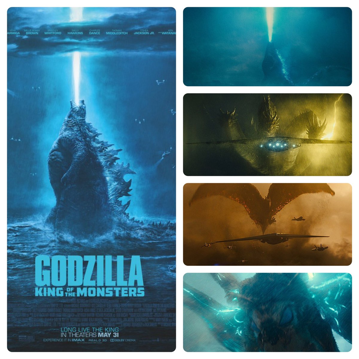 Godzilla: King of the Monsters celebrates 5th anniversary today.
#godzillakingofthemonsters #godzillakotm #godzilla2019 #godzillafan #godzilladdiction #monsterverse #gojira #toho #東宝 #kylechandler #kenwatanabe #渡辺謙 #verafarmiga #milliebobbybrown 
#zhangziyi #warnerbros