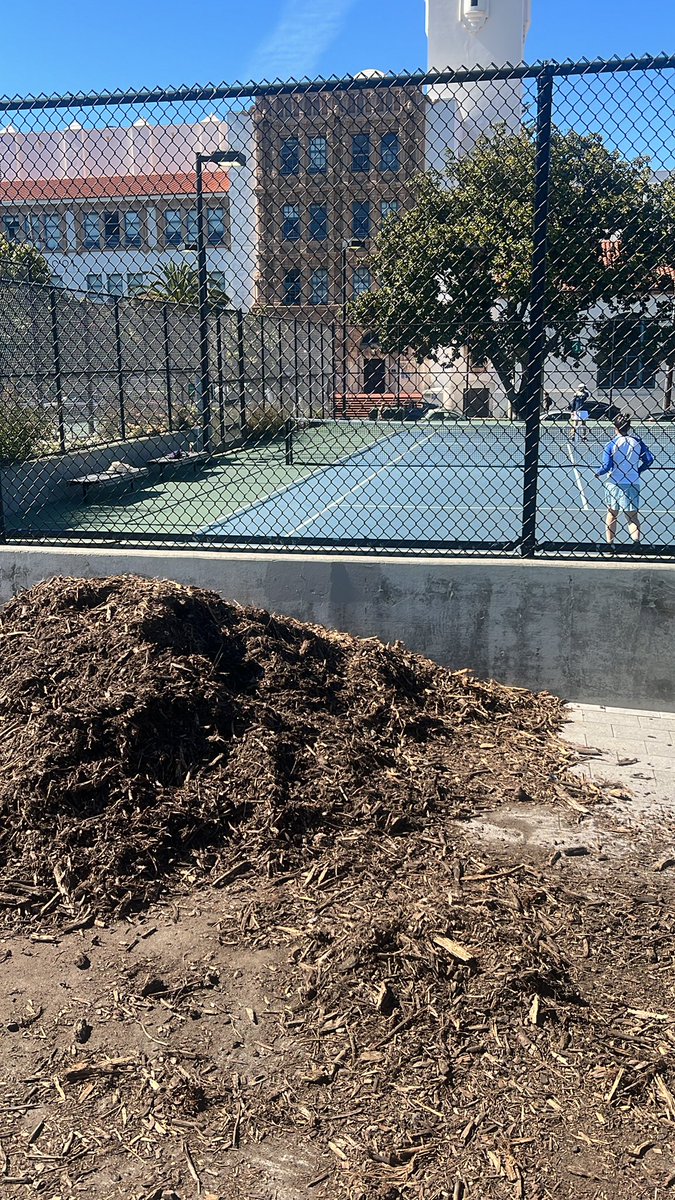 Crystal Lambert tweet media