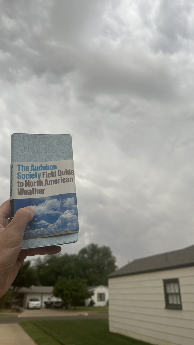 Dark Braden tweet media