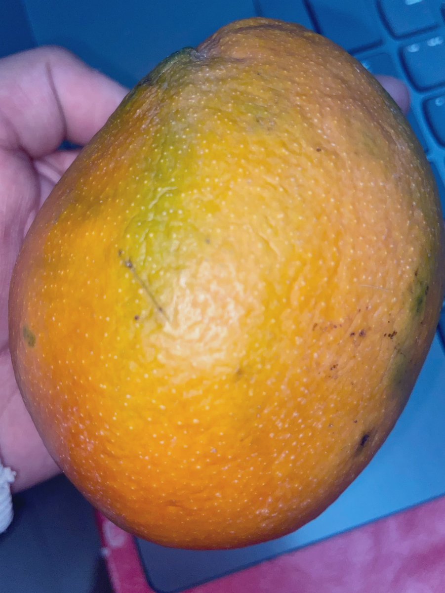 Amo odontopediatria verdaderamente 🩷 (mi Px me regalo un mango)