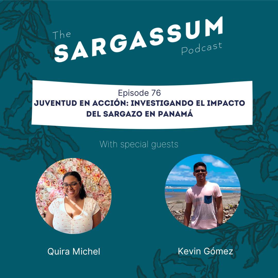Sargassum Podcast tweet media