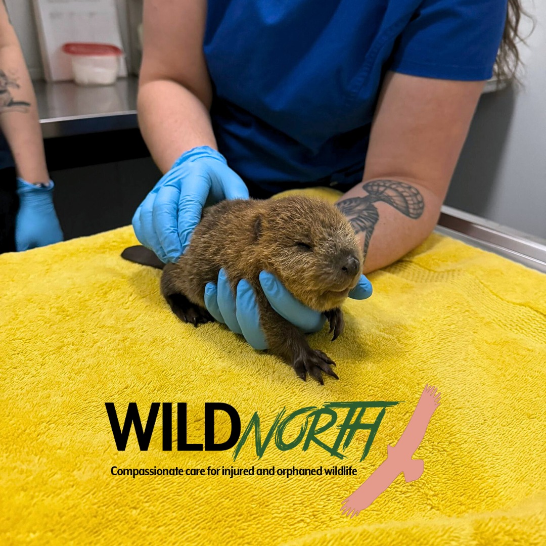 Lauren Hunter tweet media