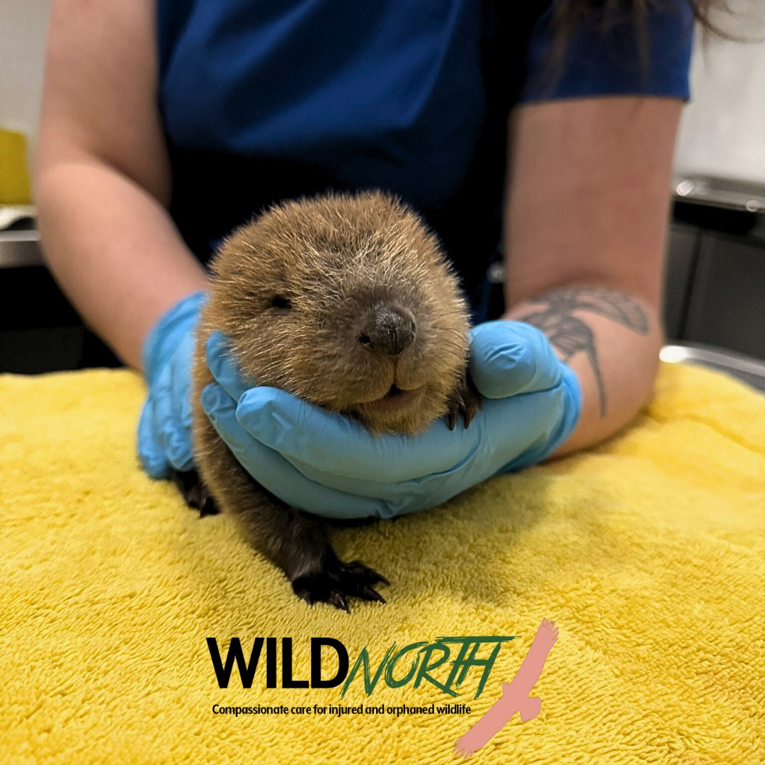 Lauren Hunter tweet media