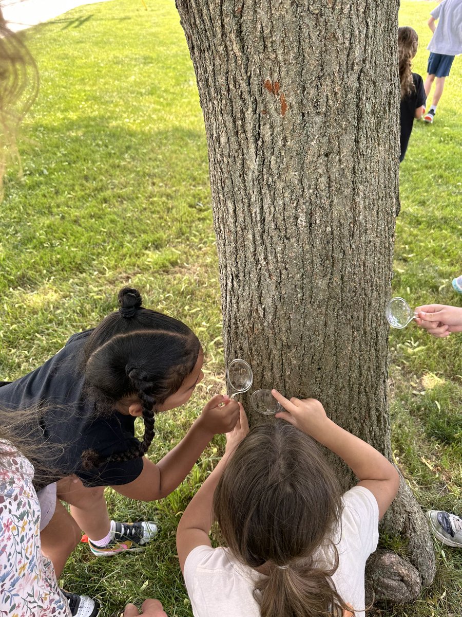 ๐๐ฒ๐ถ๐ซ๐ฎ๐ป๐ต๐ ๐๐ธ๐ฏ๐ฏ๐ถ๐ช๐ท (@kimhoffmanteach) on Twitter photo Kindergarten STEAM got to enjoy a scavenger hunt looking for bugs with magnifying glasses. The last count was 104 found lol ! <a href="/AntrimSchool/">Tara Weber</a> <a href="/ptbeachsuper/">Will Smith</a> <a href="/antrimtech/">Steve Ruddy</a> <a href="/StecchiniM/">Michelle M. Stecchini</a> <a href="/moberg_melissa/">Melissa Moberg</a> Kindergarten STEAM got to enjoy a scavenger hunt looking for bugs with magnifying glasses. The last count was 104 found lol ! <a href="/AntrimSchool/">Tara Weber</a> <a href="/ptbeachsuper/">Will Smith</a> <a href="/antrimtech/">Steve Ruddy</a> <a href="/StecchiniM/">Michelle M. Stecchini</a> <a href="/moberg_melissa/">Melissa Moberg</a>