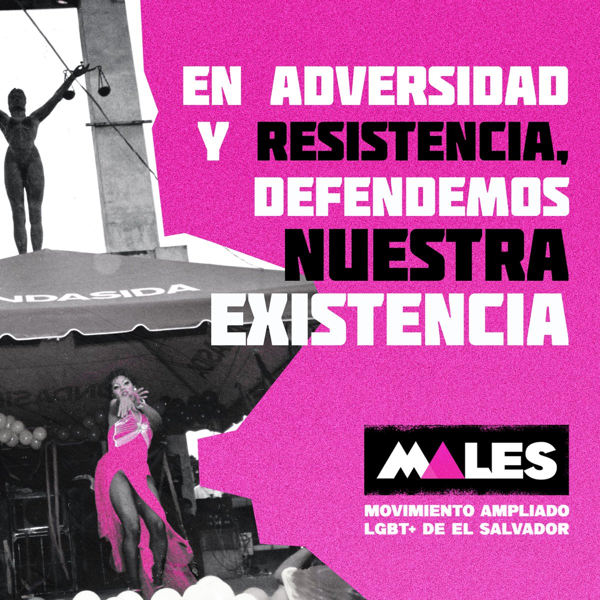 Movimiento Ampliado LGBT de El Salvador. tweet media