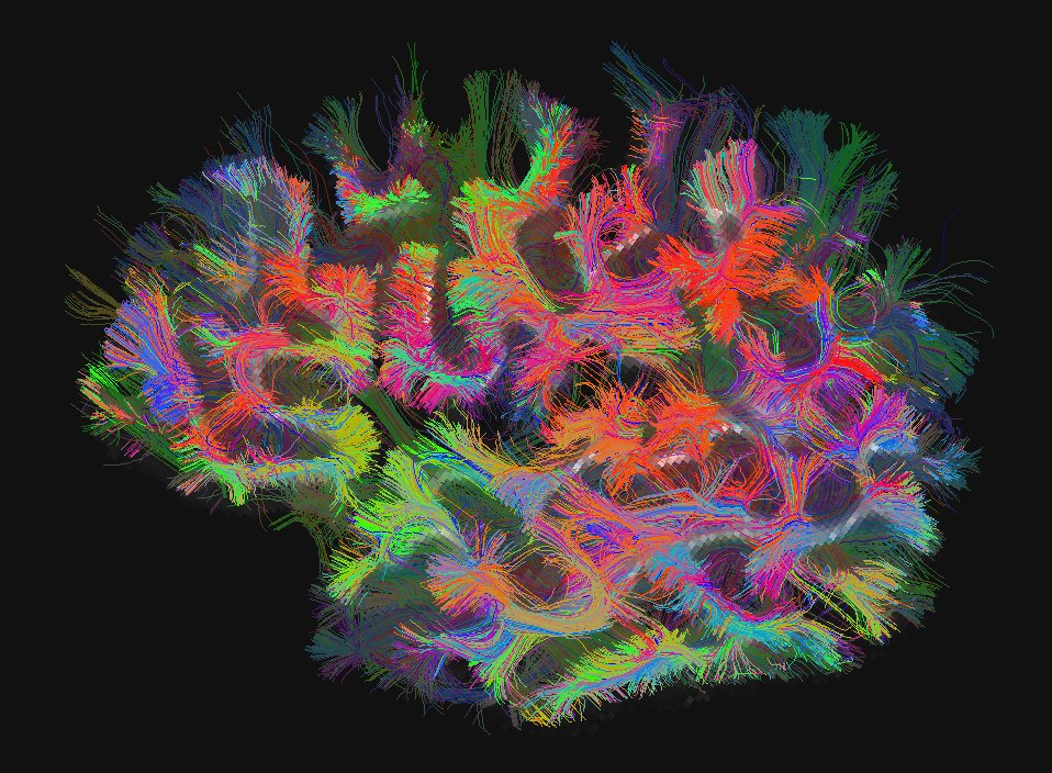 Please RT 🗣️ For our Plan to Enhance Diverse Perspectives, our BRAIN Initiative funded LINC project is seeking to name 2 undergrads + 2 postdocs from diverse backgrounds and/or under-resourced institutions “LINC fellows” for 2024-25. Eligibility and info:
connects.mgh.harvard.edu/outreach/