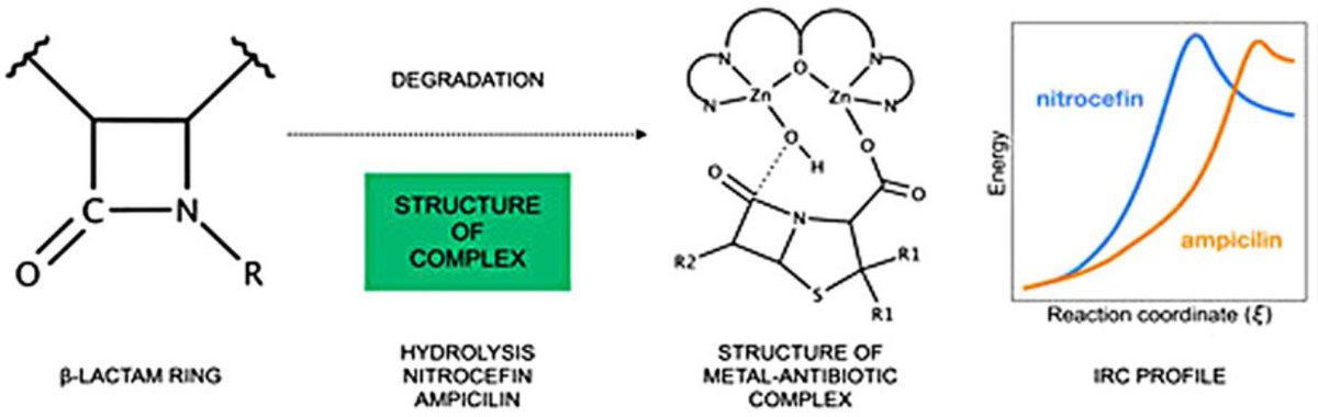 GEFA-PUCE (@gefa_puce) on Twitter photo Glad to share a recent work <a href="/LatinXChem/">LatinXChem</a> <a href="/LatinXinChE/">LatinX in ChE</a> <a href="/LatEnvChemPSE/">Latin American Conference EnvChemPSE</a> <a href="/cienciapuce/">Ciencia PUCE</a> <a href="/PUCE_Ecuador/">PUCE Ecuador</a>, thanks <a href="/JoseMora84/">Jose Mora</a>. Theoretical study of the hydrolysis mechanism of β-lactam antibiotics catalysed by a Zn(II).. tandfonline.com/doi/full/10.10… Glad to share a recent work <a href="/LatinXChem/">LatinXChem</a> <a href="/LatinXinChE/">LatinX in ChE</a> <a href="/LatEnvChemPSE/">Latin American Conference EnvChemPSE</a> <a href="/cienciapuce/">Ciencia PUCE</a> <a href="/PUCE_Ecuador/">PUCE Ecuador</a>, thanks <a href="/JoseMora84/">Jose Mora</a>. Theoretical study of the hydrolysis mechanism of β-lactam antibiotics catalysed by a Zn(II).. tandfonline.com/doi/full/10.10…