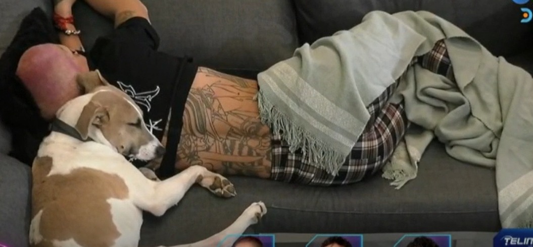 Arturo y Furia 24/7 mientras que Huellitas y los programas pedorros publican idioteces. 

No te comas el verso y mirá DGo.