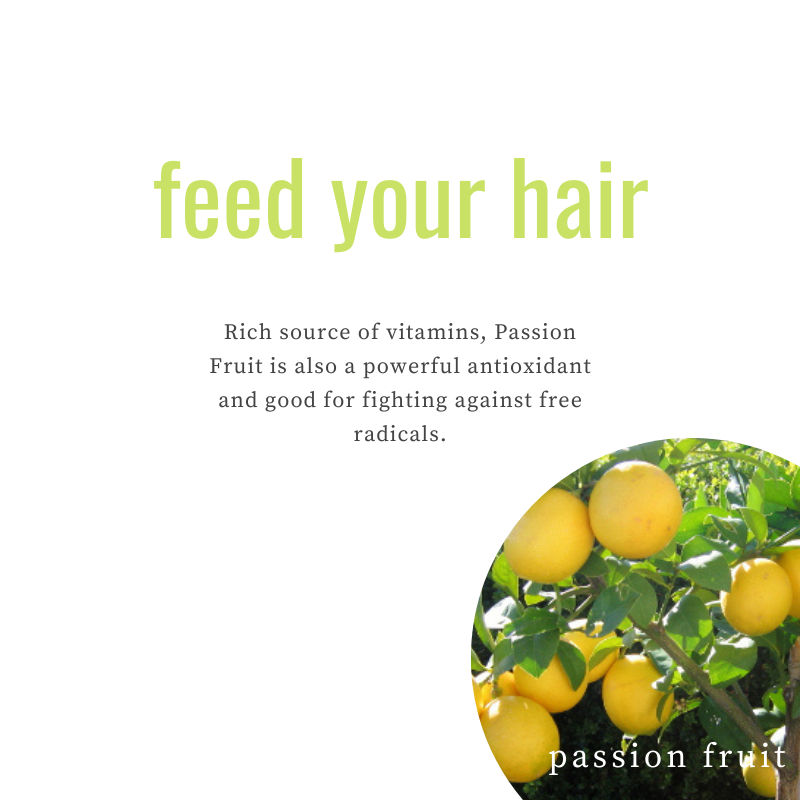 Passionate about healthy hair! 💜🌺 Passion Fruit Extract delivers antioxidants for strong, protected locks. To learn more, click the link in our bio! 
.
.
.
.
.
#ekoehbrasil #hairfoodcolorcream #hairfood #rethinkyourhaircolor #feedyourhair #vegan #organic #crueltyfree