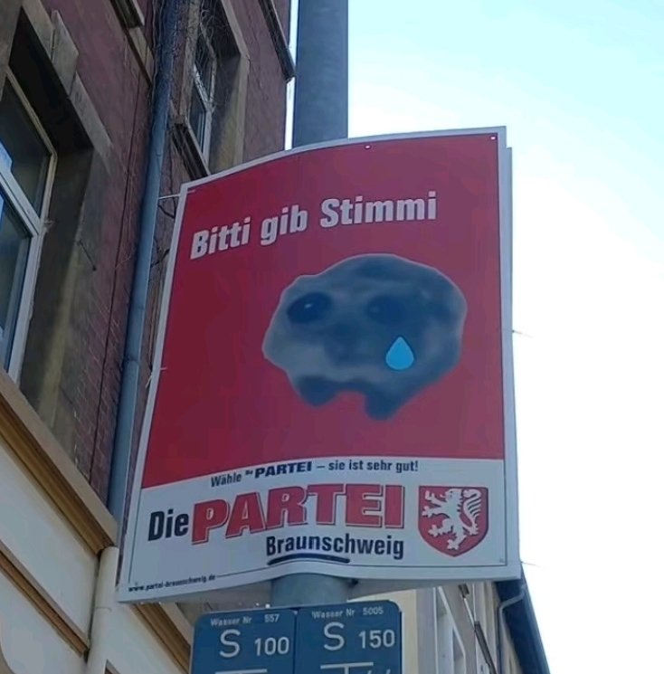 bittu geht wähli und nicht die doofi afd 🥺