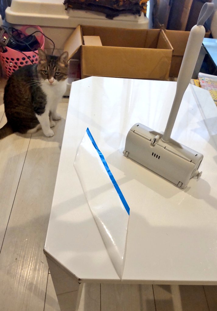 sumirenyan2's tweet photo. コロコロ
取れる!
取れるぞ!
テープが簡単に
取〜れ〜る〜
螺旋状に
取〜れ〜る〜
ネコチャンの毛も
取〜れ〜る〜
でな
立つねん自分で!
エラいな!お前!
#猫
#猫のいる暮らし
#猫のいる生活
#キジシロ
ネコチャンは
かわいい💕
#掃除
キライ>.<
#LIFELEX https://t.co/3ODS9E5yCU