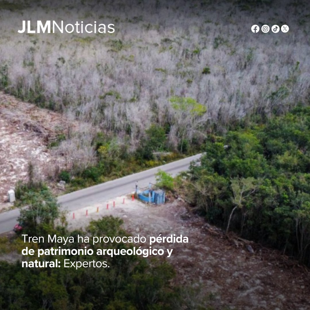 #México | La construcción del Tren Maya ha provocado el desplazamiento de personas, enfermedades en los trabajadores, la destrucción de sus viviendas, la tala de millones de árboles y plantas, la fragmentación del hábitat de diversidad de animales y la pérdida irreversible de