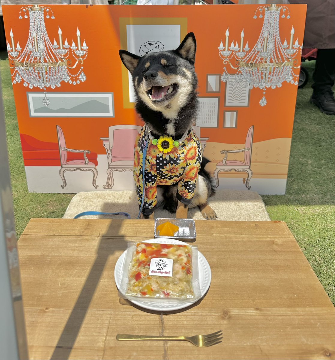 Gin_kuroishiba's tweet photo. イベントに参加した時
試食いただいてこの顔🤣
お気に入り🥺❤️❤️
#柴犬
#黒柴
#幸せそう
#ideadogchef
#ドギーズ祭り https://t.co/ZetiiMa9Kh