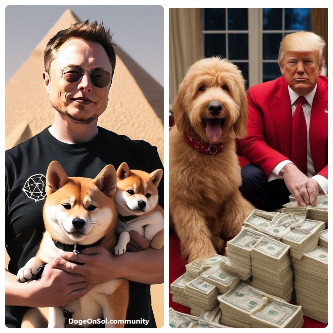 Elon and Trump are undeniably the 2 most influential people in the crypto space.

Elon has $Floki 2.3b mc
Trump has $Patton 1.5m mc

Im betting on $Patton for value 🧠

Do what you want with this info