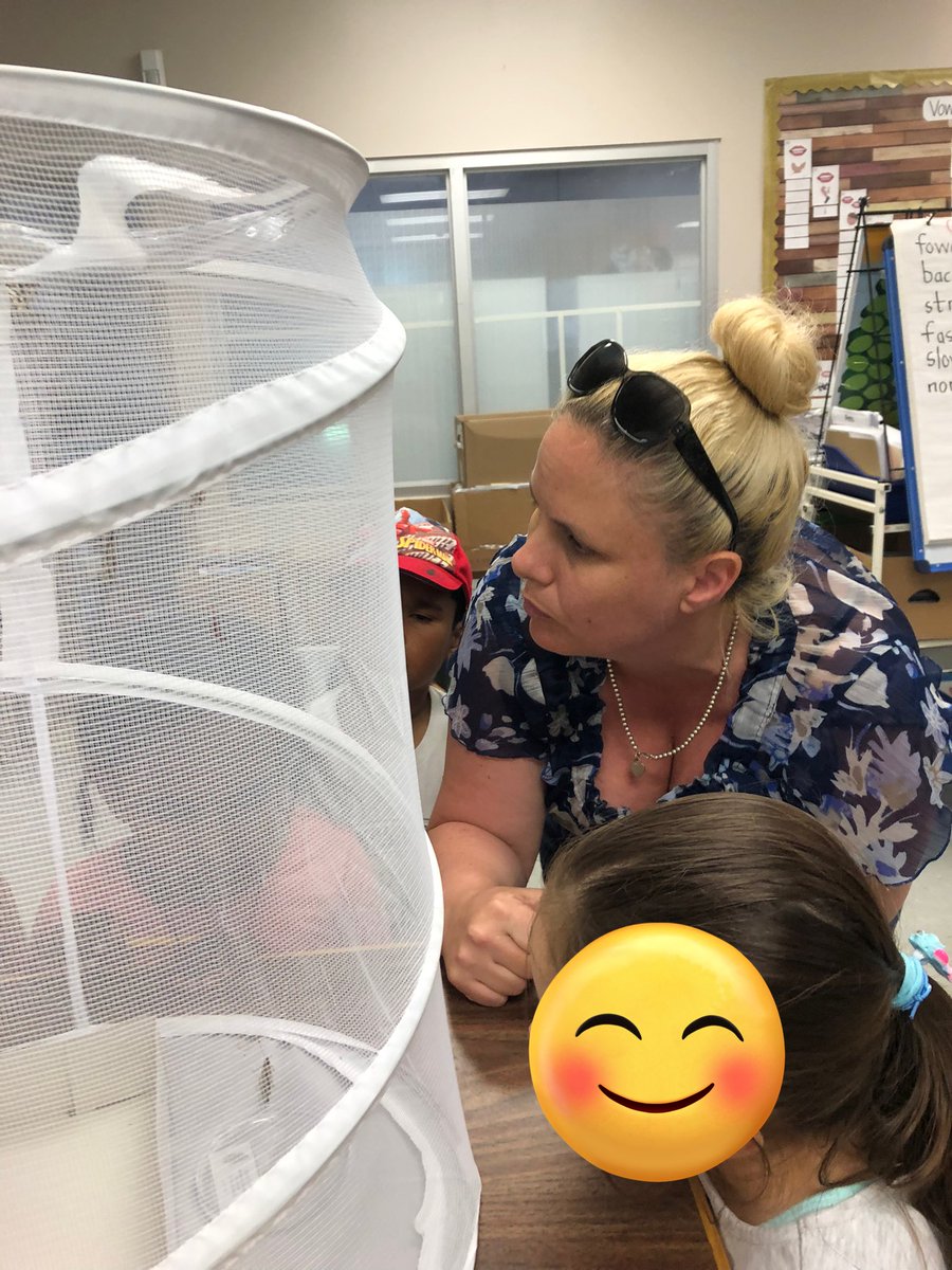 MsKaraoulis tweet media