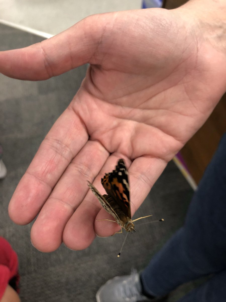 MsKaraoulis tweet media