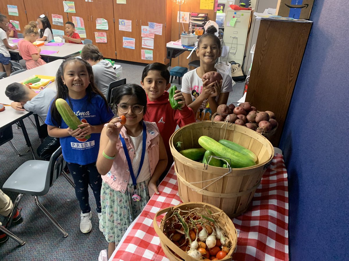 So grateful to have spent the day with these kiddos. Lots of investigation with the produce they grew!! @readygrowgarden @Postma_Pumas @TerryBellPostma @PostmaPTO