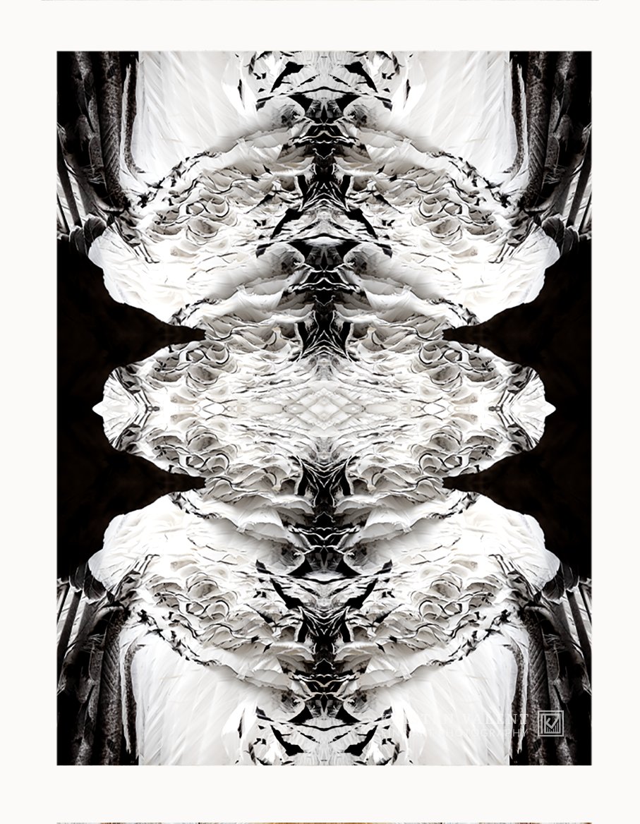 I am still here creating when I can. This is a new piece that I created today from images that I took a few years ago. Sometimes, I fall in love with the process all over again when I've been away from it for a while. It is both creating and being in nature that allow me to stay