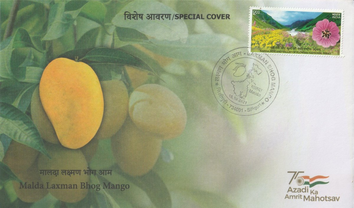 #Malda #Laxmanbhog #mango - a GI tagged Product from #Westbengal

For further details visit my blog 
sastikvibes.blogspot.com/2024/05/193-ma…

#philately
#indiapost
#gitag
#specialcover
#maldamango