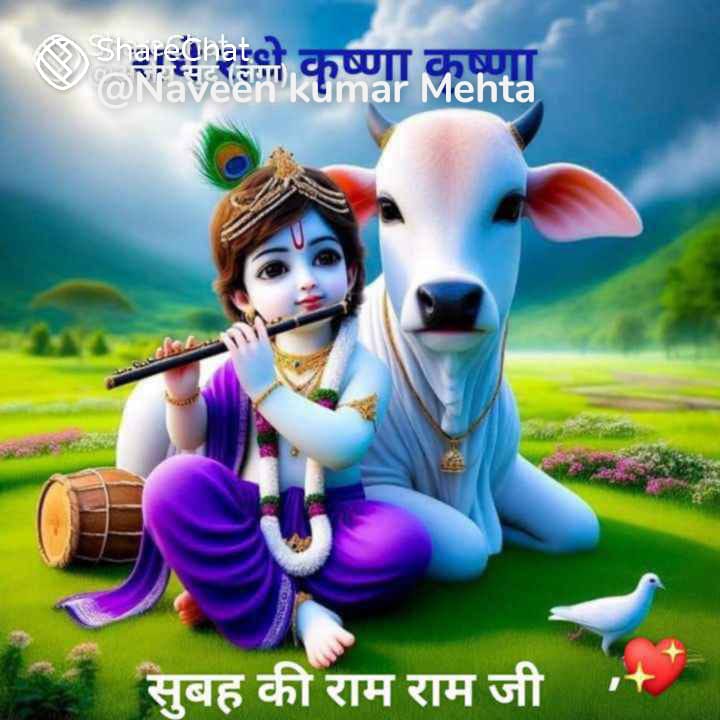 जय श्री कृष्णा 🌹🌹🎈🌹🙏 सरित सरोबर सजल सब जलज बिपुल बहु रंग। समउत सुहावन सगुन सुभ राजा प्रजा प्रसंग॥२॥ सुबह की राम सा 🙏👉🌹🎈