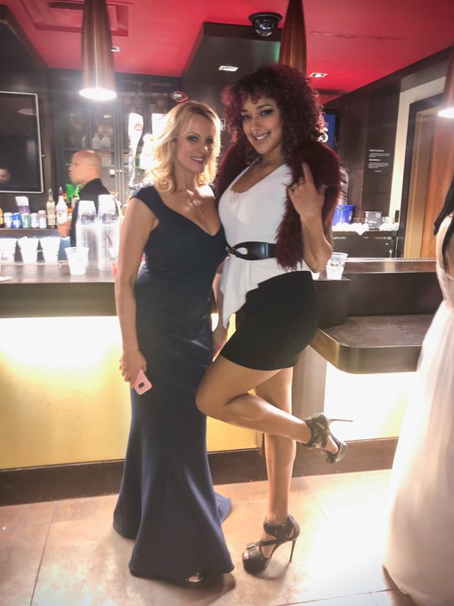 #Throwback to that time I met an absolute legend at @avnawards.  Thank you for your service @StormyDaniels<a href="/tag/throwback"class="tags">#Throwback</a>