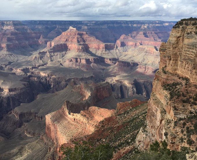 The wildlife at Grand Canyon is as diverse and dynamic as the multiple life zones encompassed by the park. Five of North America’s seven life zones and three of the continent’s four desert types are represented here. The park provides habitat for 355 bird species, 89