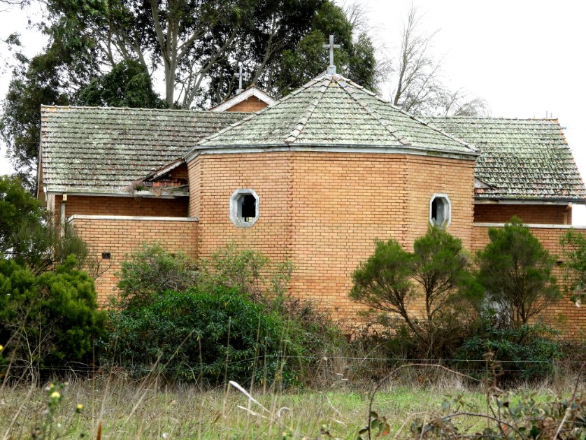 I guarantee there's an owl roosting in here. Probably a Barn Owl. Garvoc, Victoria.