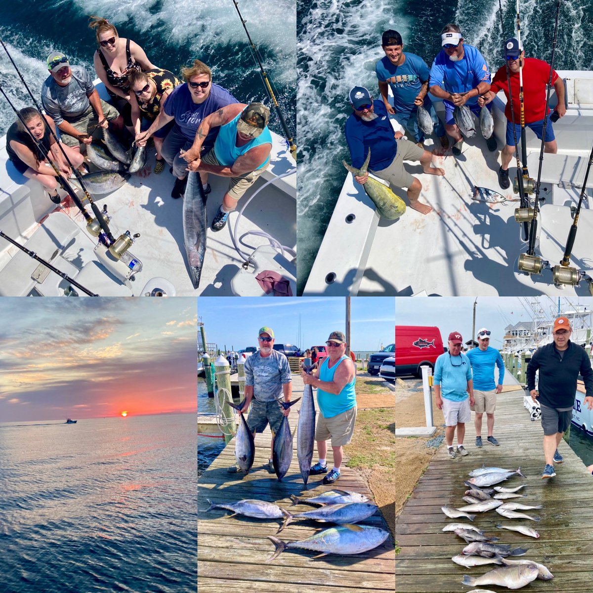 WestWindCharter's tweet photo. It’s been a busy week of fishing. #lovewhatyoudo #captainolanwest #offshorefishing #offshorefishing #tunafishing #obx #wahoofishing #tilefish #bottomfishing #dolphinfishing #mahifishing #yellowfintuna #blackfintuna #westwindcharters https://t.co/rA3VKsSTGl