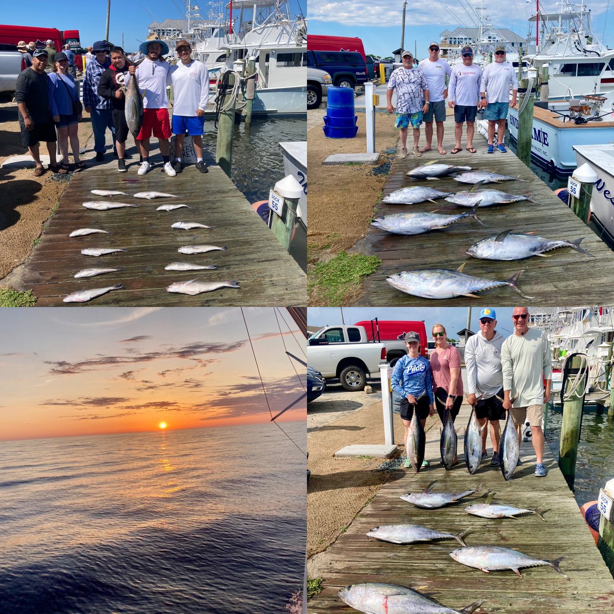 WestWindCharter's tweet photo. It’s been a busy week of fishing. #lovewhatyoudo #captainolanwest #offshorefishing #offshorefishing #tunafishing #obx #wahoofishing #tilefish #bottomfishing #dolphinfishing #mahifishing #yellowfintuna #blackfintuna #westwindcharters https://t.co/rA3VKsSTGl