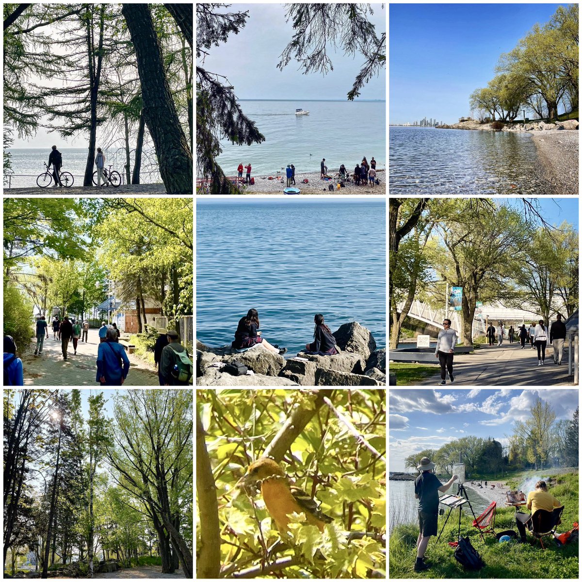 📍 West Island, Ontario Place | May 2023

The trees and the beach are still standing, but now the public are locked out. Next step in the works - destroy it all for a giant glass @ThermeGroup box and parking garage.

It’s not too late to change course ontarioplaceforall.com/takeaction/