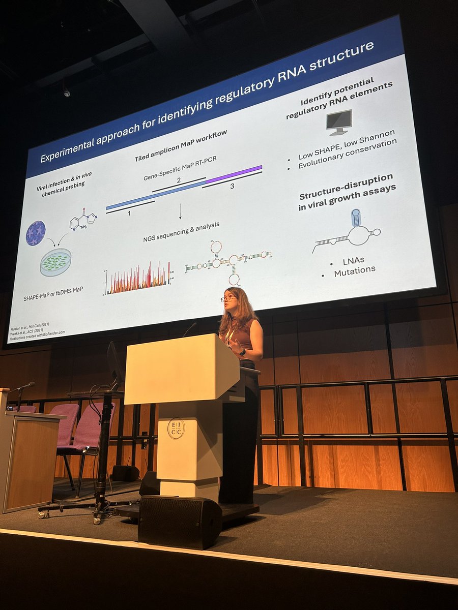 Tanja Hann tweet media