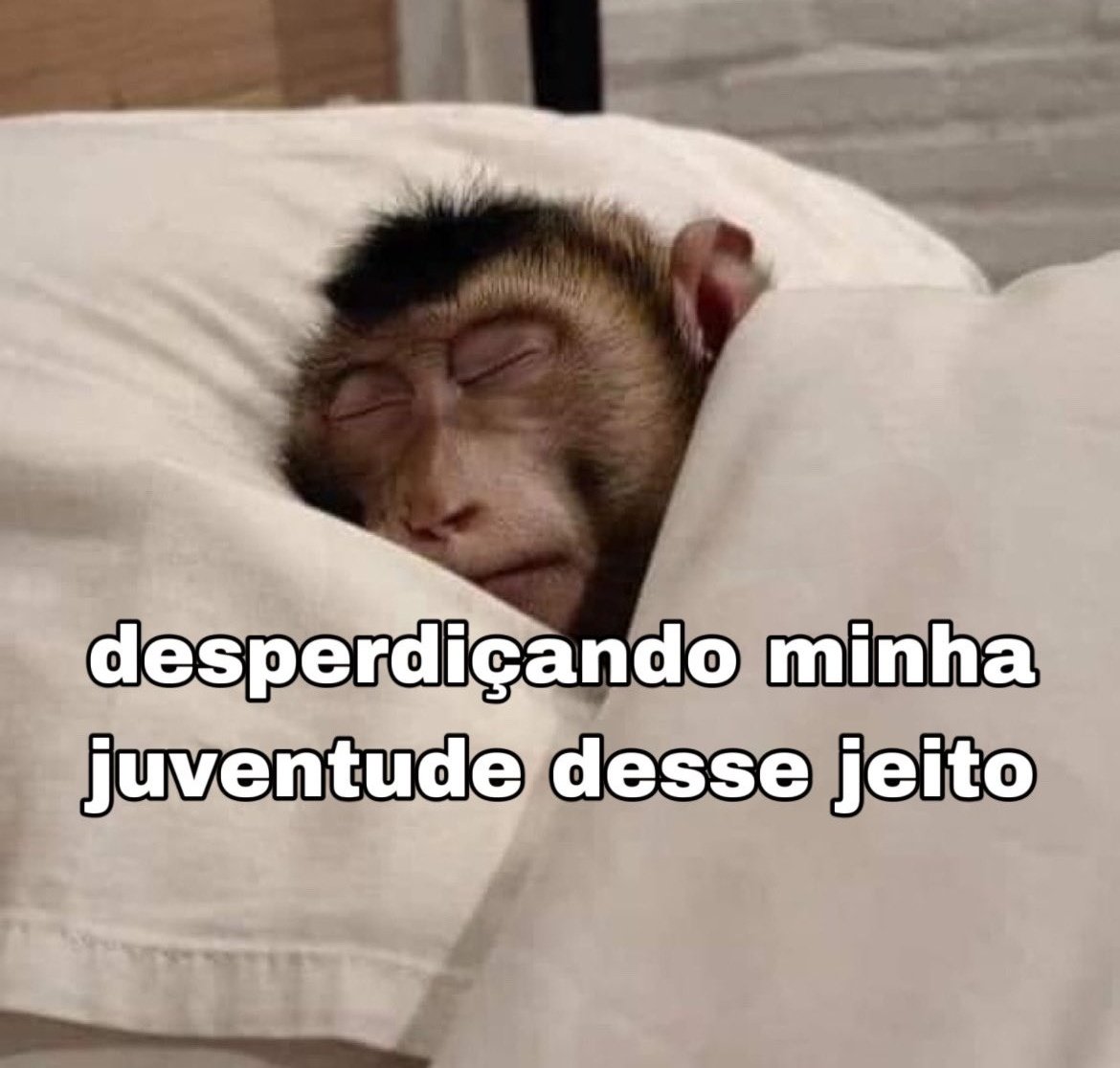 juleo (@ounojo) on Twitter photo 
