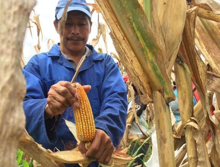 🚜Si el campo no produce, la ciudad no come!! 🌽🍅🥔 Bendiciones a todos los campesinos trabajadores. 🚜 #Nicaragua #PLOMO19 #SoberaníayDignidadNacional @edwincastror @josesfigueroa