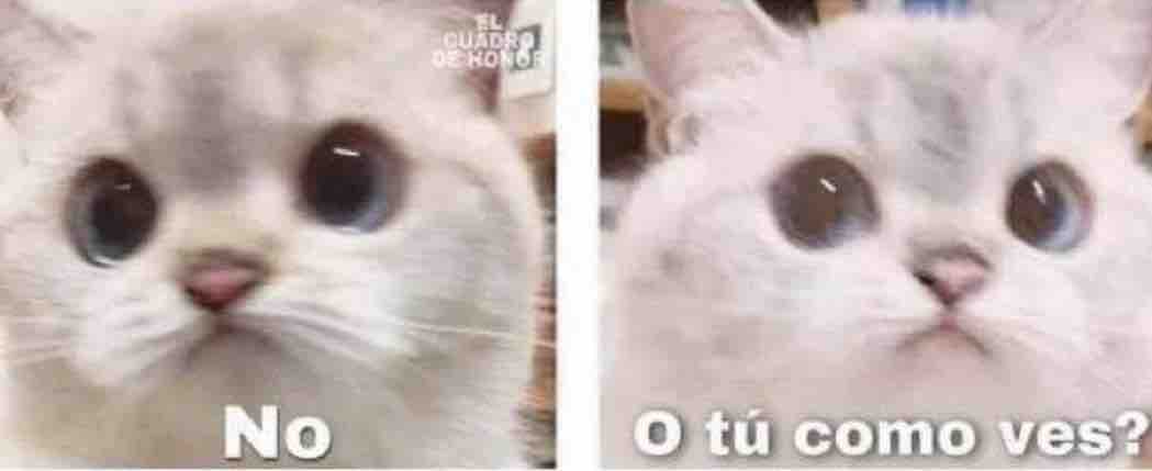 — ¿Eres inseguro?