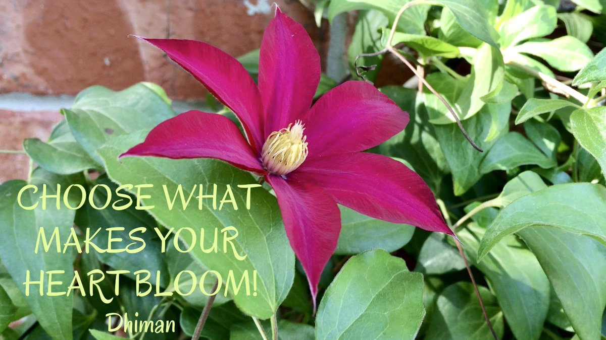 Choose to bloom where you’re planted and what makes your heart bloom too! #bloomadayshare