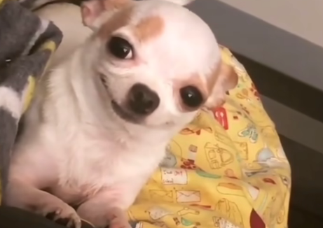 Me wide awake during IV sedation, waiting for the surgeon to notice and put me back to sleep.