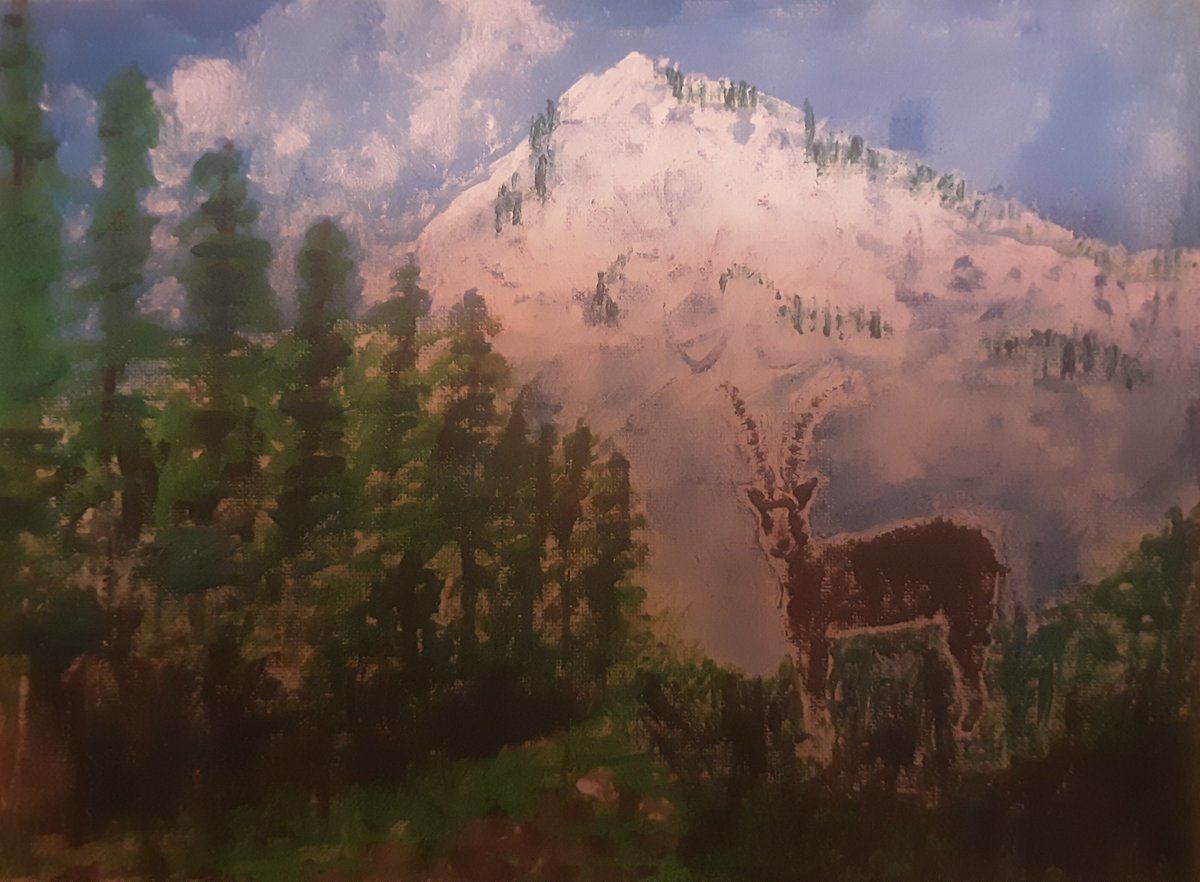 dsutton24's tweet image. 