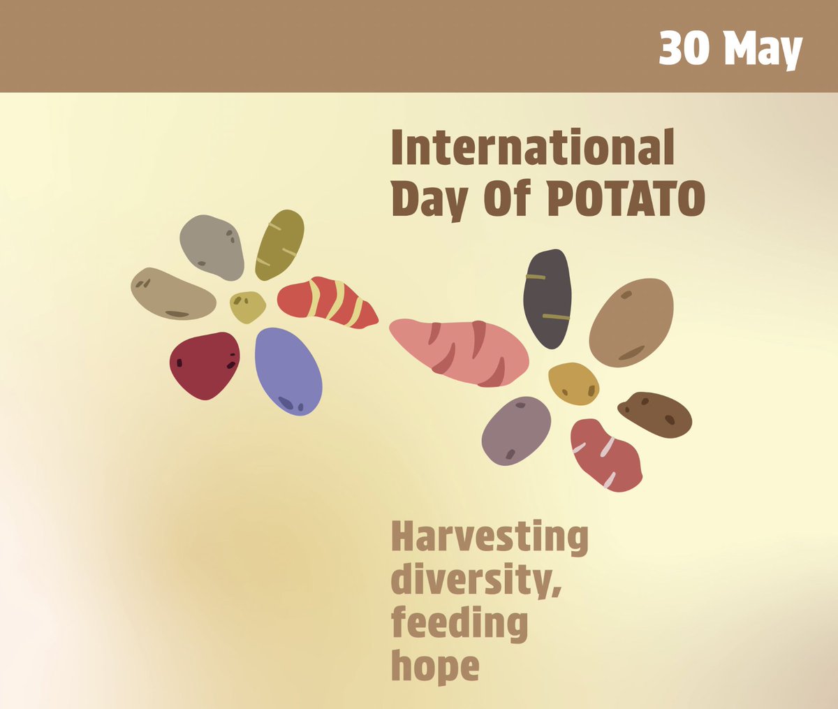 Today we mark the first-ever #InternationalDayOfPotato 🥔 Let's be reminded that #Potatoes are: 🔹an invaluable food resource 🔹consumed by two-thirds of the global population 🔹planted in 159 countries, with around 5,000 varieties Let's recognize the potential of the potato to