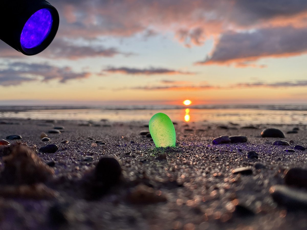 CapebretonGlass's tweet photo. ~ Another awesome find from yesterday’s hunt on Inverness beach, although for this one I needed help from a blacklight to showcase the beautiful Uranium Sea Glass glow!💚 https://t.co/gdfBLQSuYt