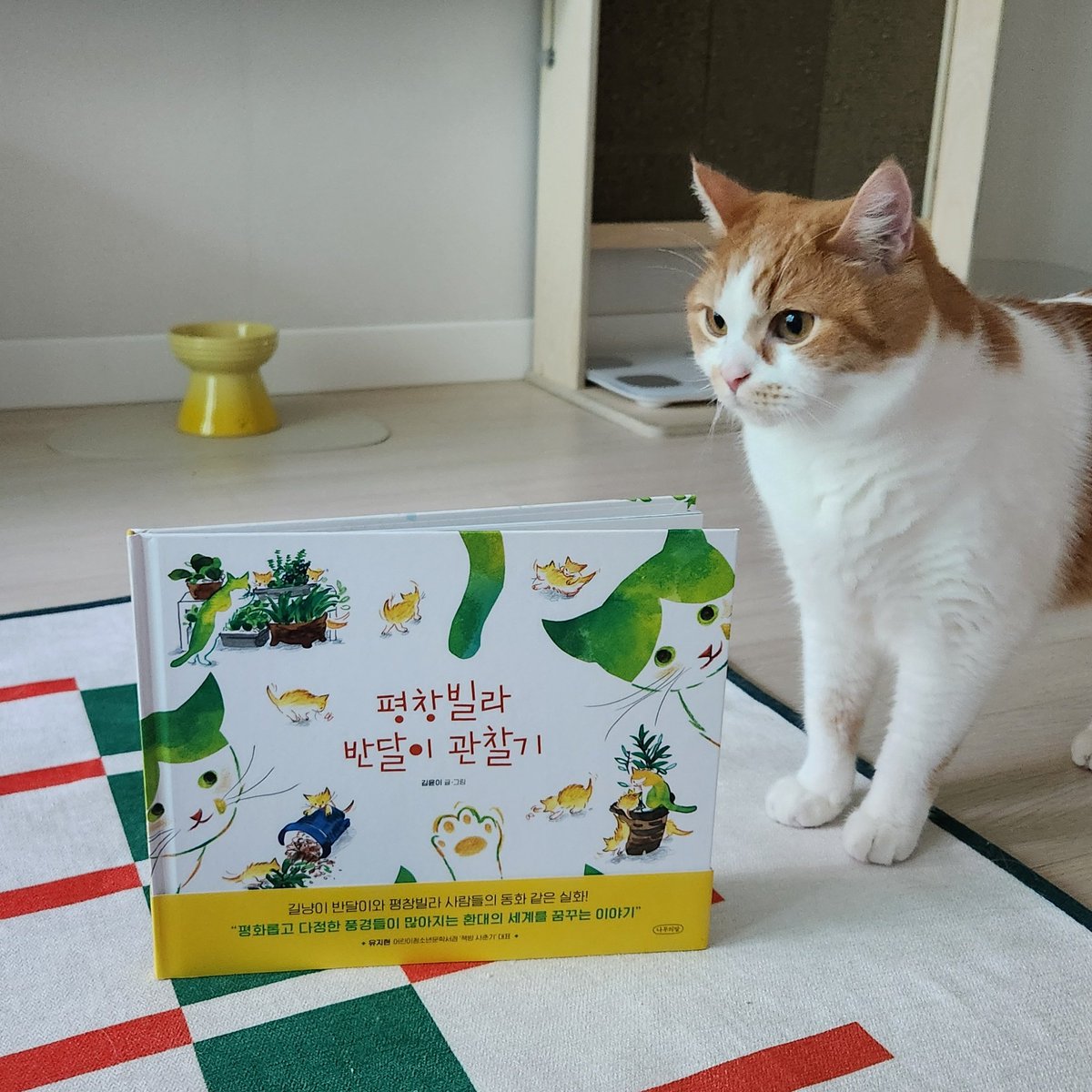 tnseoaks's tweet photo. 나무의말 출판사에서 <평창빌라 반달이 관찰기>를 보내주셨어요! @wordsoftree1 다정한 이야기와 다정한 이야기만큼 다정하고 따뜻한 그림이 있는 동화책이에요! 우리는 다르지만 다르지 않다는 말 뭉클했어요. 우리는 조금씩 다르지만 결국은 다르지 않아서 서로가 서로에게 다정해야할 것 같아요. https://t.co/qkjM3zaxgq