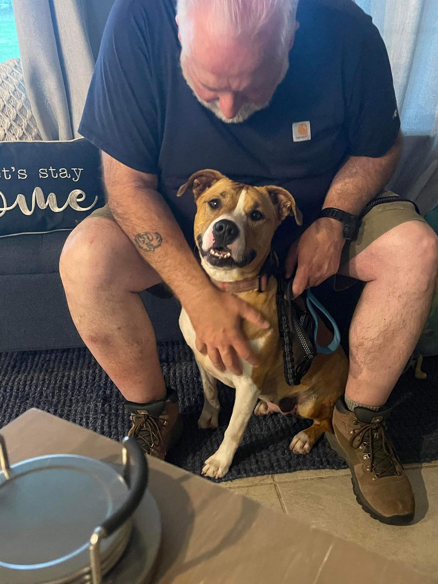 MOLLY got ADOPTED! 😍😍😍 From Apollo Support & Rescue for Abandoned Dogs #TX: 🥳🥳 Sweet Molly is adopted! She has doggie siblings and is loving her new home and forever family.🏠❣️We love you Molly ! Have an amazing life 🥰❤️ TYSM adopters & apollosupportandrescue.org Visit