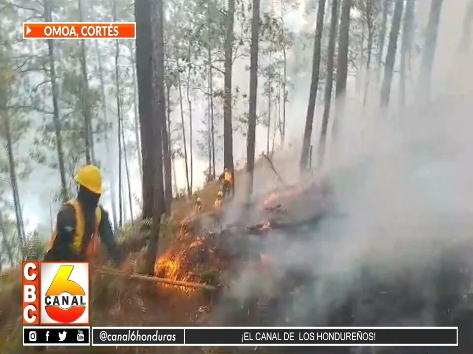 #NOTICIA | Un incendio forestal reporta cuerpo de bomberos en los últimos 15 días en Omoa, Cortés

Ver Más: canal6.com.hn/?p=443669
