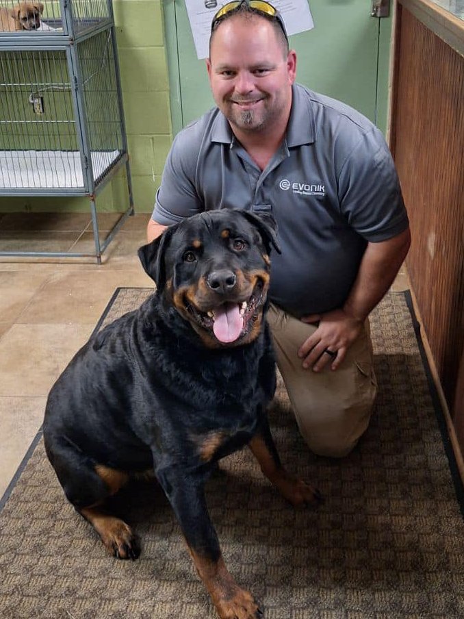 MAX got ADOPTED! 😍😍😍 TYSM Dad & Marshall County Animal Care and Control #KY marshallcountyky.gov/animal-care-co… Visit your local animal shelter today & #AdoptDontShop Follow these rescue advocates to help get more pets adopted: Twitter / X / Rescue Network ⬇️⬇️⬇️ @TaniaHop3