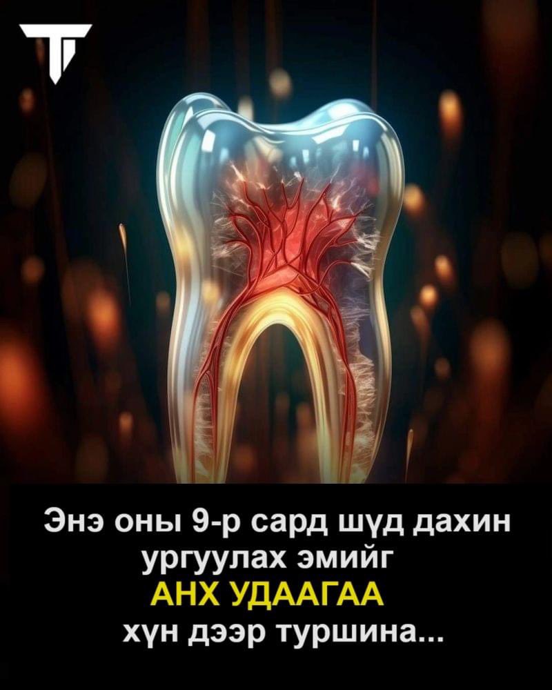 Их Монголын Хутагт Хувилгаад Сан (@khutagt1) on Twitter photo 