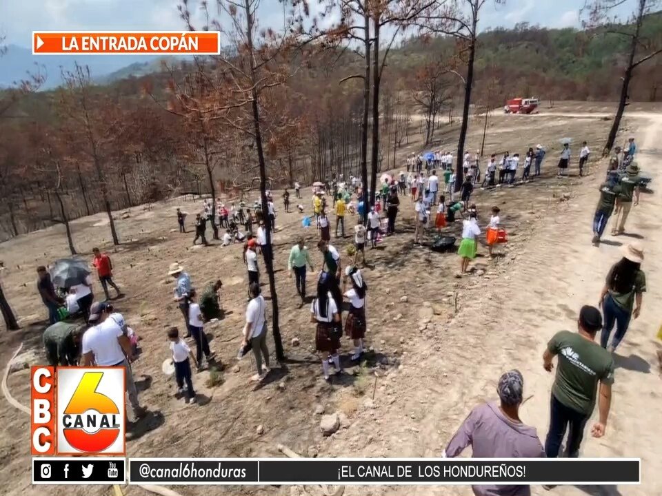#NOTICIA | 30 de mayo se siembran 300 árboles de pino en la reserva forestal El Orégano

Ver Más: canal6.com.hn/?p=443672