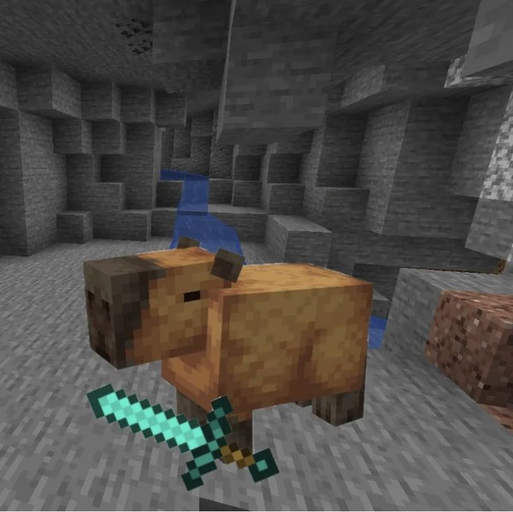 MrPastelitoUpd's tweet photo. 😎 | Hola Capys como ya sabemos estos días no tendremos streams de Paste hasta que tenga una mejoría en su salud 🥺.
Así que nos gustaría que nos compartan sus avances en el server usando el ht #Capyland (no es el nombre del server oficial pero lo usaremos por mientras Paste le pone un nombre)
Compartan clips o capturas de sus aventuras, trataremos de dar rt a todo.
-💜